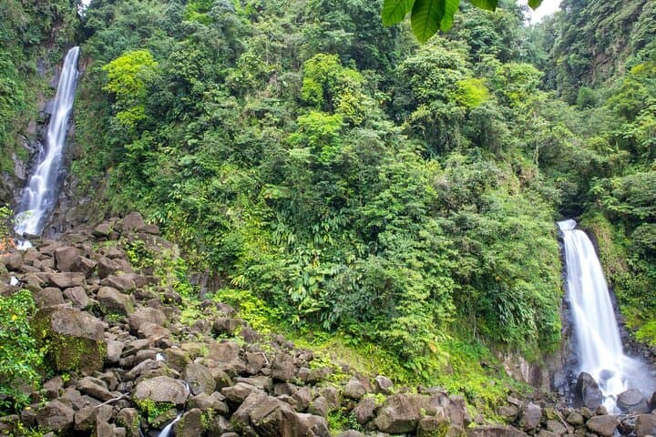 Ultimate Dominica Escape: Waterfalls, Ti Tou Gorge & Sulphur Spa photo 2