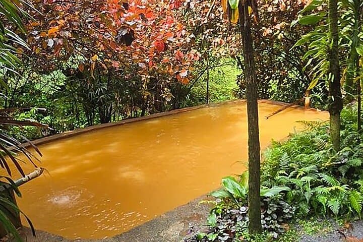 Ultimate Dominica Escape: Waterfalls, Ti Tou Gorge & Sulphur Spa photo 3
