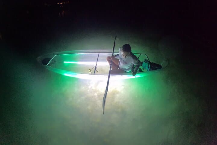 Sarasota LED-Illuminated Clear Kayak Night Tour — Paddle with Dolphins & Manatees photo 4