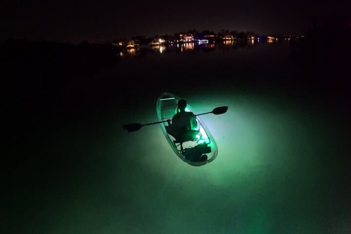 Sarasota LED-Illuminated Clear Kayak Night Tour — Paddle with Dolphins & Manatees photo 6