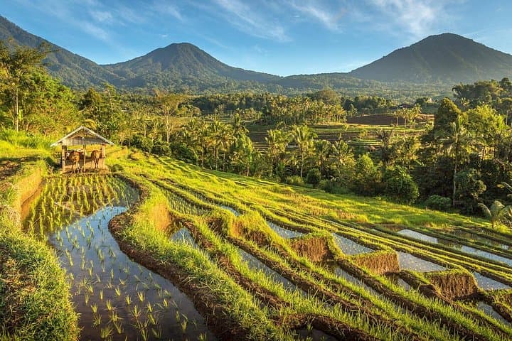 4-Day Bali Countryside Tour — Ubud, Bedugul, Lempuyang & Uluwatu photo 1