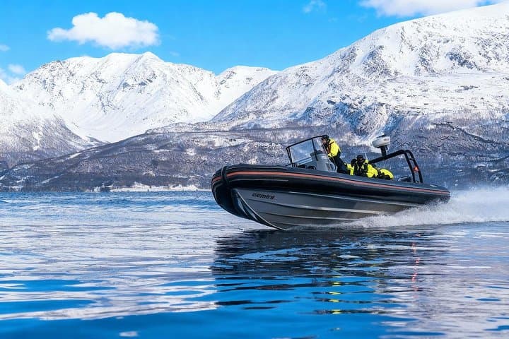 Tromsø Arctic Whale Watching — Full-Day Orca & Humpback Cruise to Skjervøy photo 1