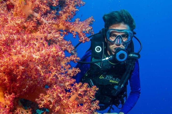 Hurghada Speedboat to Hula Hula Island: Intro Dive & Snorkel the Red Sea photo 2