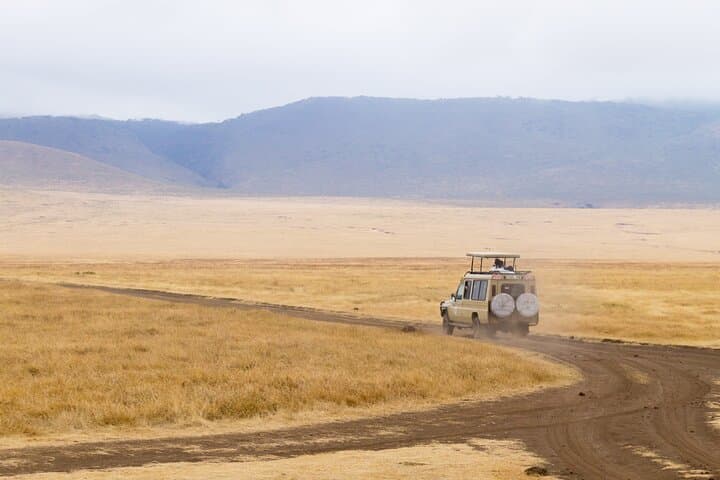 2-Day Private Tarangire and Ngorongoro Safari — Short Northern Circuit Wildlife Experience