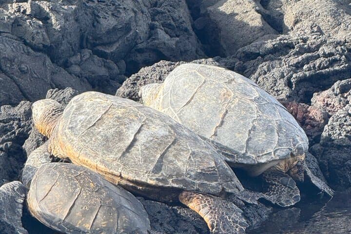 Big Island Highlights: Kīlauea Volcano, Rainbow Falls & Punaluʻu Black Sand Beach Day Tour photo 4