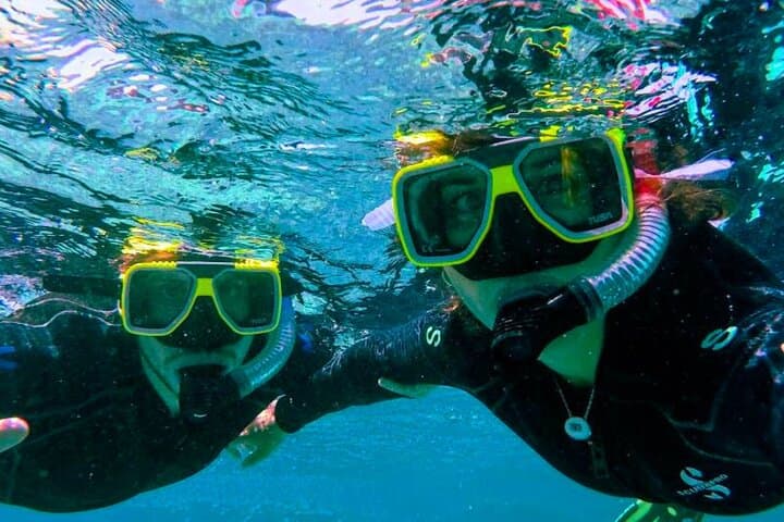 African Sea Forest Snorkel & Fisherman-Style Sushi Picnic in False Bay photo 5