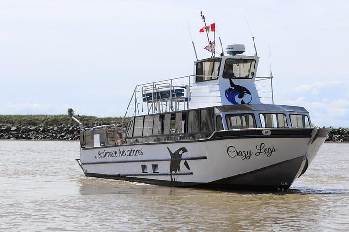 Winter Eco Tour on the Salish Sea — Whale & Seal Watching from Steveston