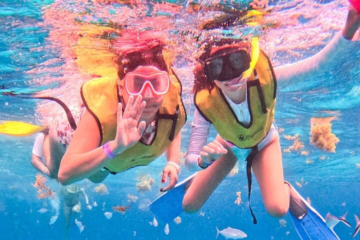 Snorkeling Cozumel: San Clemente, Palancar Gardens & El Cielo 3-Stop Tour photo 5
