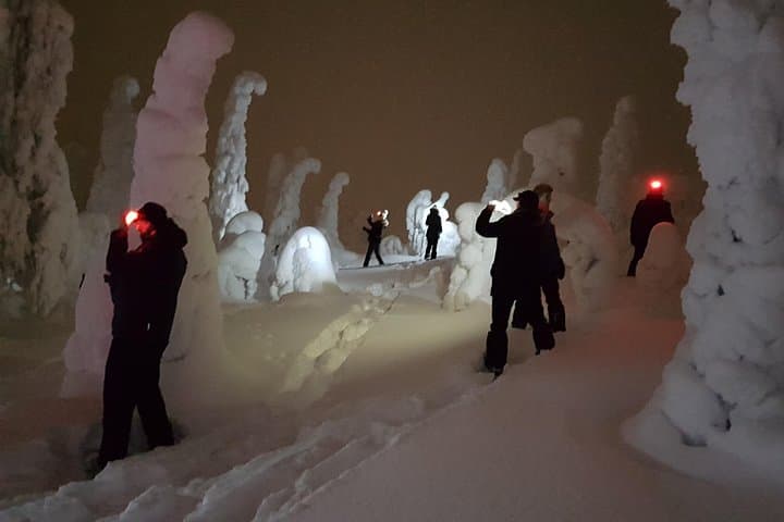 Arctic Night Snowshoeing in Ruka: Stars, Fells & Northern Lights photo 1