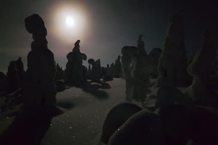 Arctic Night Snowshoeing in Ruka: Stars, Fells & Northern Lights photo 2