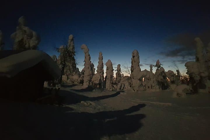 Arctic Night Snowshoeing in Ruka: Stars, Fells & Northern Lights photo 3
