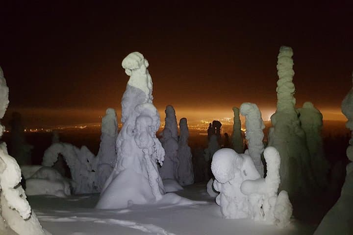 Arctic Night Snowshoeing in Ruka: Stars, Fells & Northern Lights photo 4