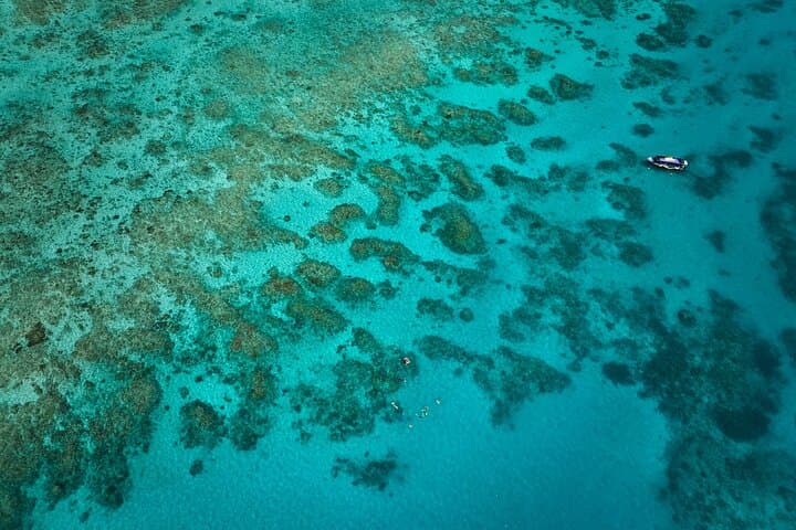 Cairns Great Barrier Reef Snorkel & Scenic Flight — Upolu Reef and Michaelmas Cay