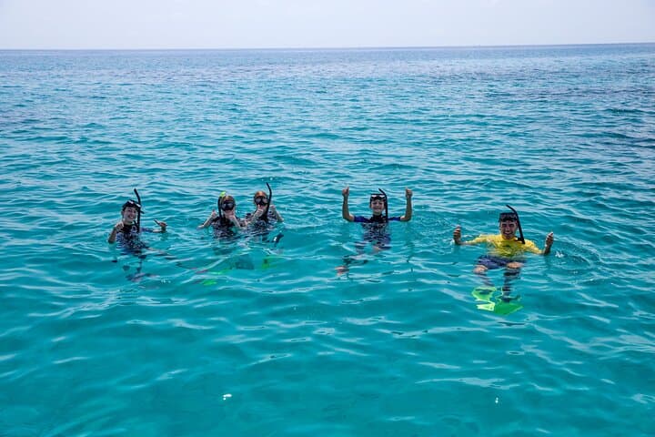 Cairns Great Barrier Reef Snorkel & Scenic Flight — Upolu Reef and Michaelmas Cay photo 4