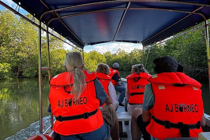 Kuching Mangrove Wildlife & Fireflies: Irrawaddy Dolphins, Proboscis Monkeys and Sunset Cruise