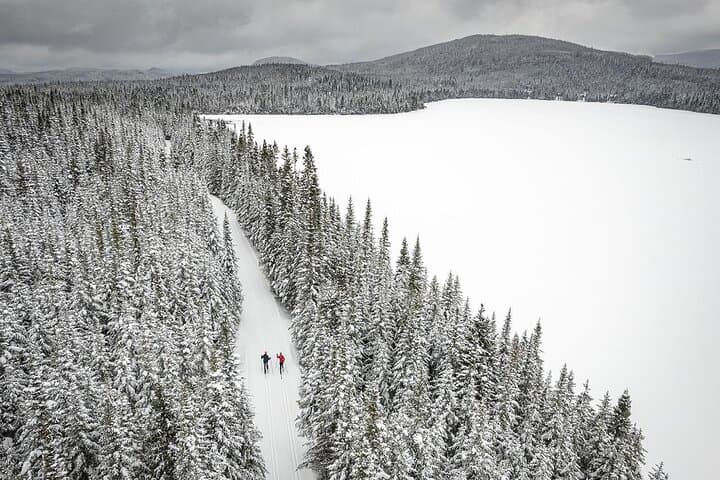 Introductory Cross-Country Skiing at Camp Mercier — Laurentides Half-Day Lesson photo 6