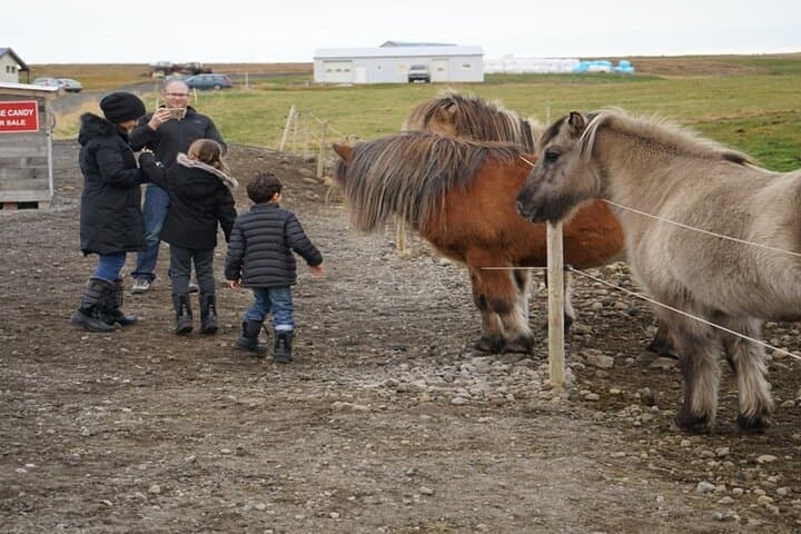 Golden Circle from Reykjavik: Small-Group Cruise Port Excursion photo 3