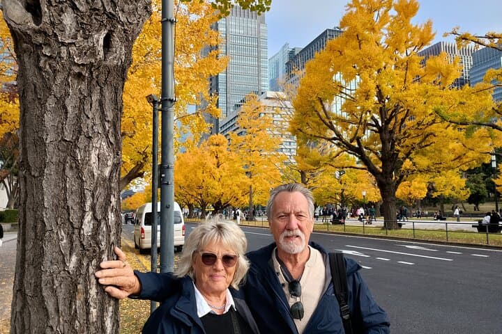 Custom Private Tokyo Day Tour from Yokohama Port for Cruise Passengers photo 3