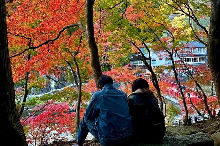 Korankei Gorge, Toyokawa Inari & Miso Tastes: Day Trip from Nagoya photo 2