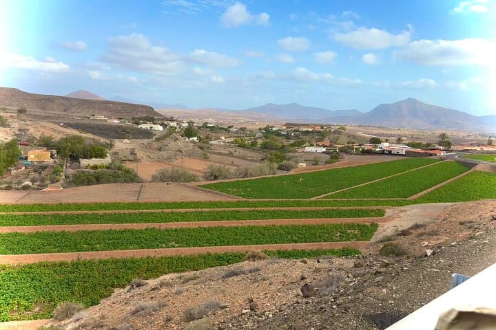 Flavours of Fuerteventura — Full-Day Island Highlights Tour from Puerto del Rosario photo 4