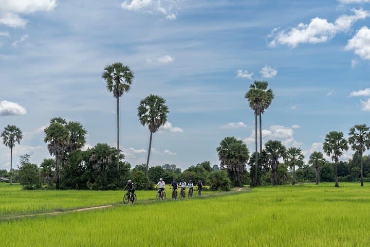 Sunrise at Angkor: Bike Tour and Jungle Breakfast in Siem Reap photo 4