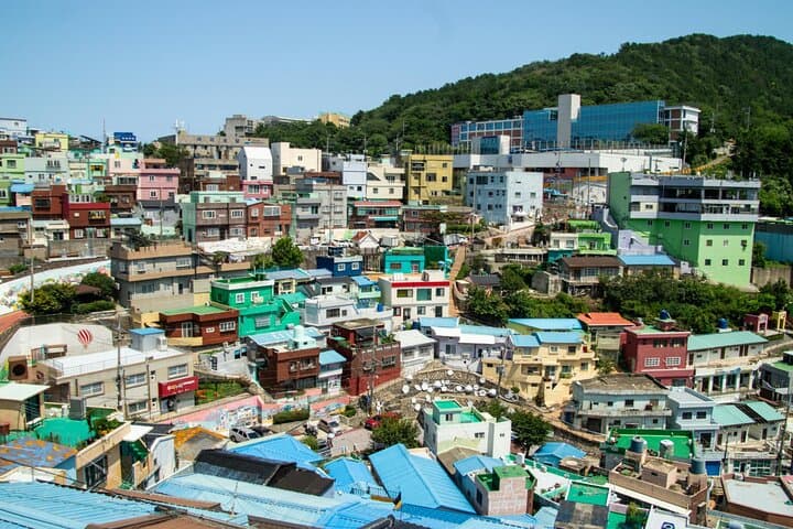 Discover Busan: An Exclusive Private Charter Experience photo 5