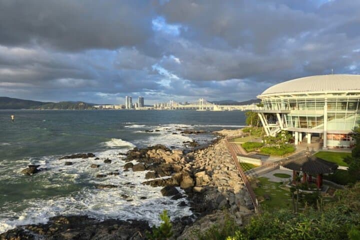 Discover Busan: An Exclusive Private Charter Experience photo 6
