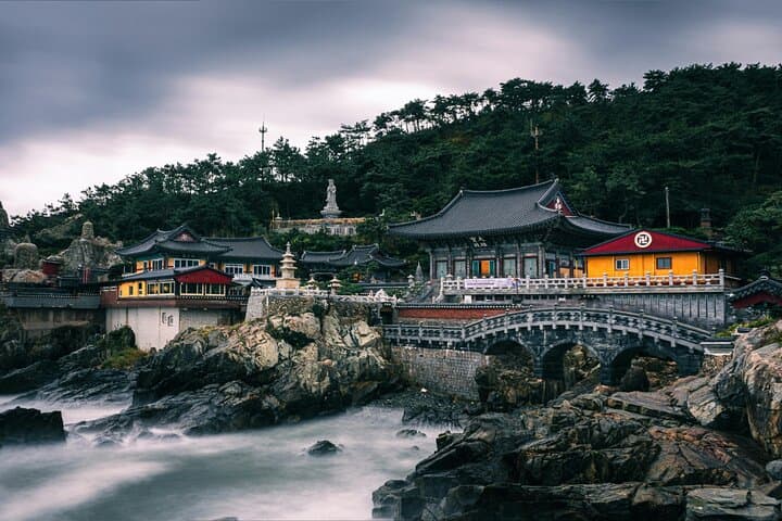 Discover Busan: An Exclusive Private Charter Experience
