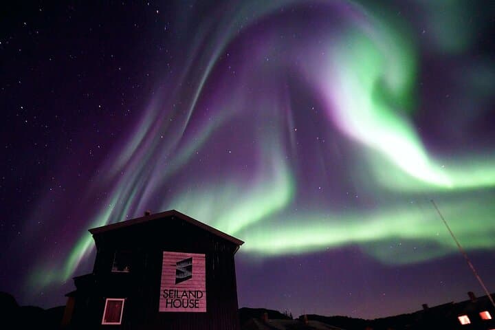 Arctic Whale-Watching Camp: 3 Nights on Seiland in Altafjord photo 2