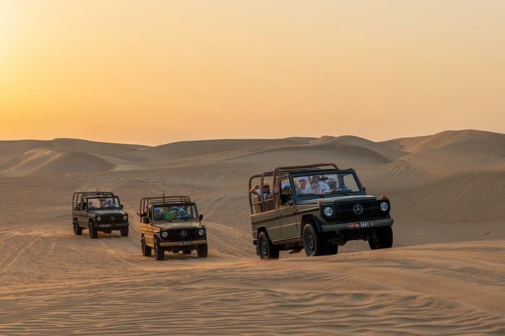 Al Marmoom Desert Vintage Safari: Camel Caravan, Falcon Show & Stargazing in Dubai photo 1