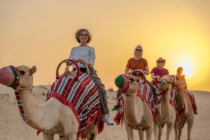 Al Marmoom Desert Vintage Safari: Camel Caravan, Falcon Show & Stargazing in Dubai photo 4