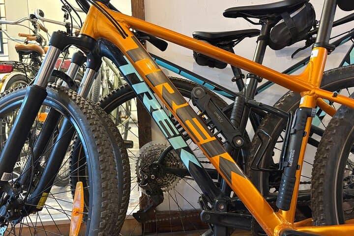 Explore Valencia by Trekking Bike: 24-Hour Rental & Albufera Routes photo 4