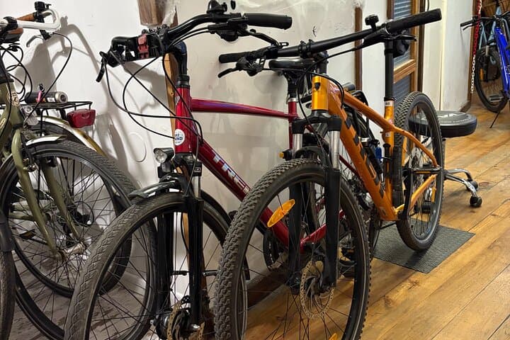 Explore Valencia by Trekking Bike: 24-Hour Rental & Albufera Routes photo 5
