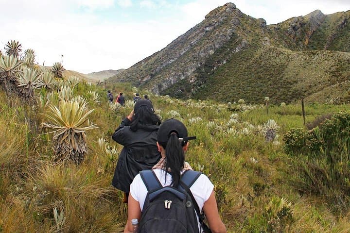 Birding Chingaza: Private Day Tour from Bogotá with Hummingbird Observatory and Lunch photo 3