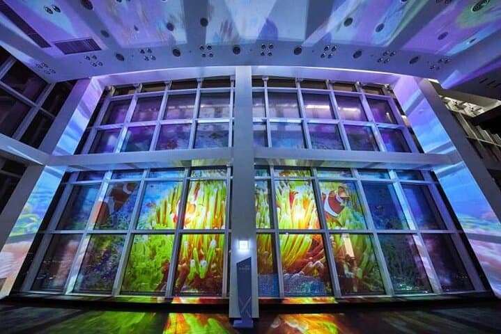 Busan X the Sky: Haeundae LCT Tower Observatory & Glass Skywalk Ticket photo 4
