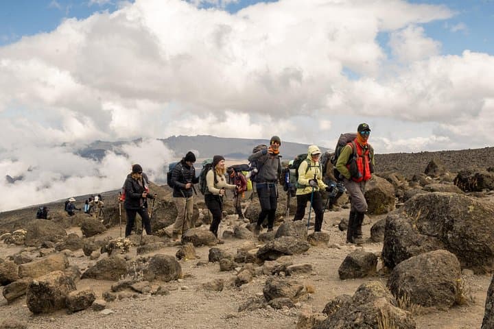 8-Day Lemosho Route Kilimanjaro Trek — Higher Summit Success & Scenic Camping photo 3