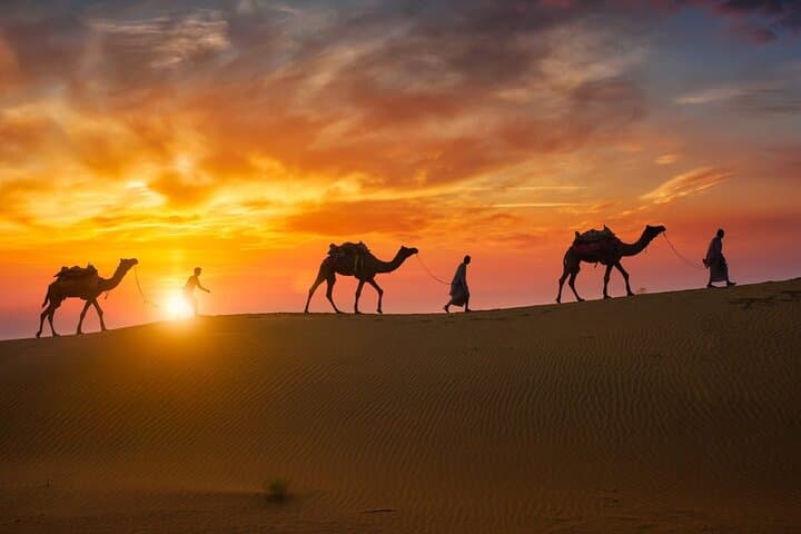 Evening Desert Safari Dubai: Dune Bashing, Camel Rides & Bedouin Camp Experience photo 5