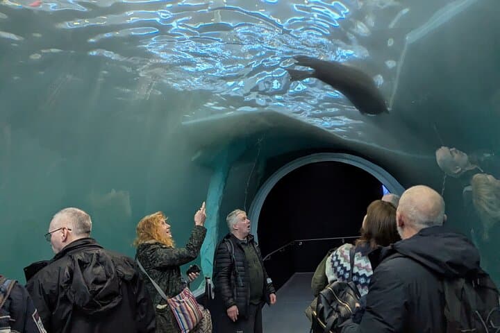 Guided Polar Bear Walk in Tromsø: Polaria & Polar Museum Tour photo 6