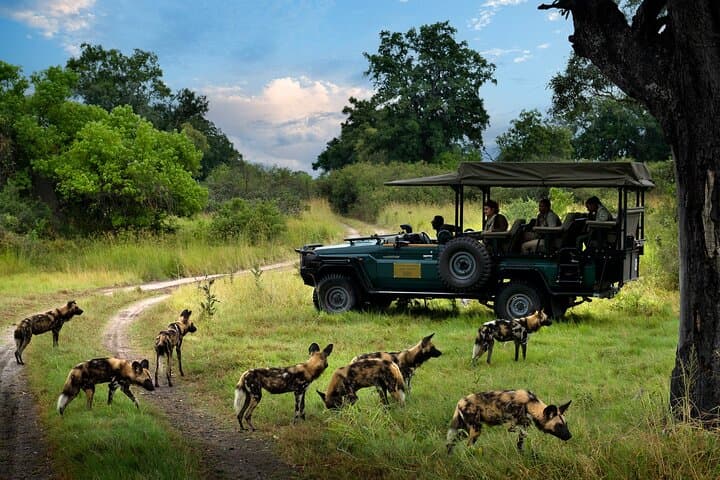 5-Day Luxury Safari: Victoria Falls, Hwange, Chobe & Impalila Island photo 4