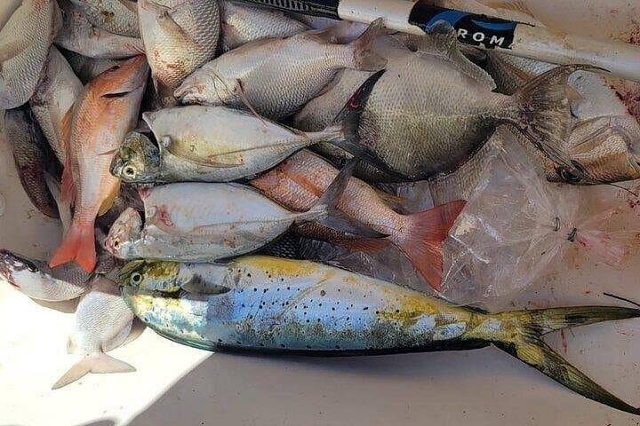 Inshore Fishing in Progreso: 4-Hour Mangrove & Estuary Fishing Trip photo 2