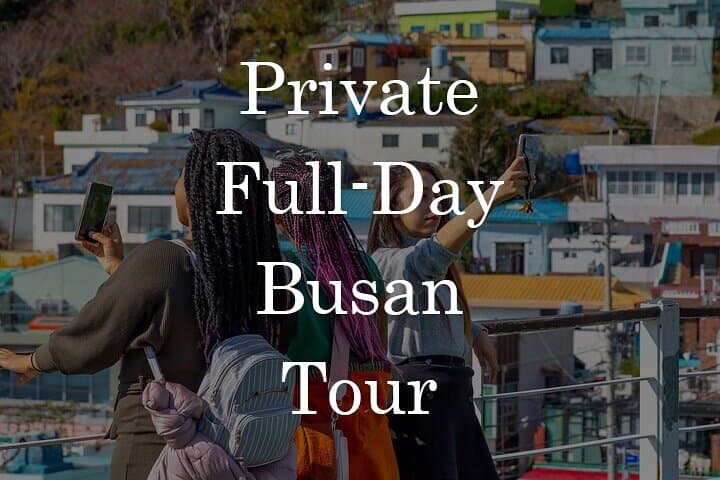 Private Full-Day Busan Tour: Coastal Temples, Markets & Hidden Villages photo 1