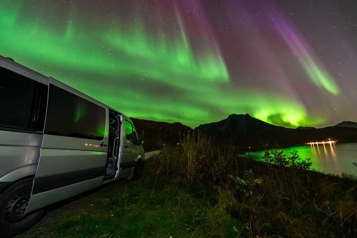 Tromsø Cruise Northern Lights Chase with Pickup & Free Pro Photos