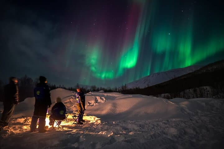 Tromsø Cruise Northern Lights Chase with Pickup & Free Pro Photos photo 3