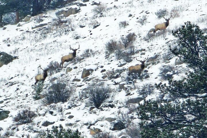 Rocky Mountain Escape: Private Scenic Tour from Denver photo 2