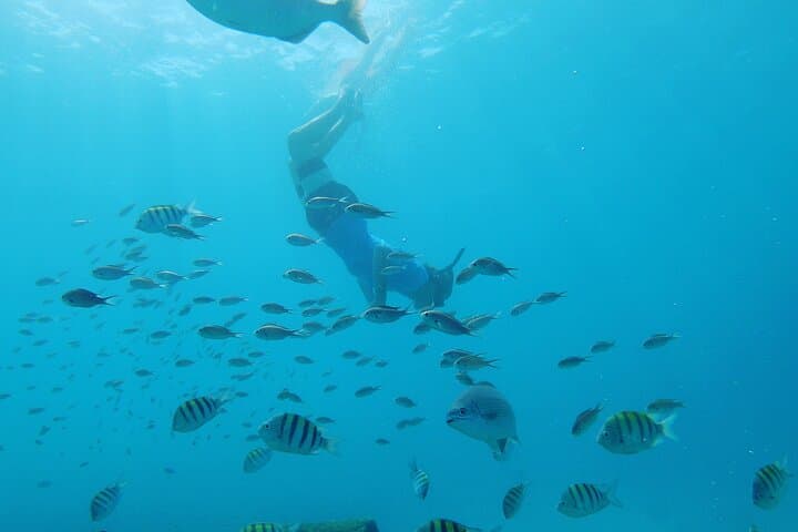 3-Hour Catamaran Sail & Snorkel with Sea Turtles on Barbados’ West Coast photo 4
