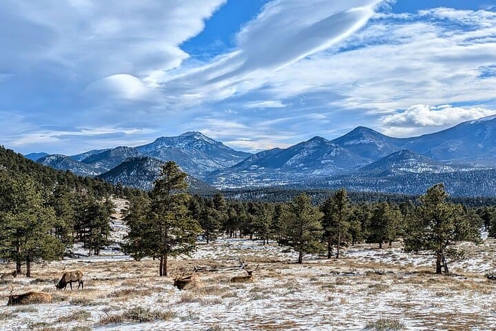 Private Rocky Mountain National Park Sightseeing Tour from Denver photo 5