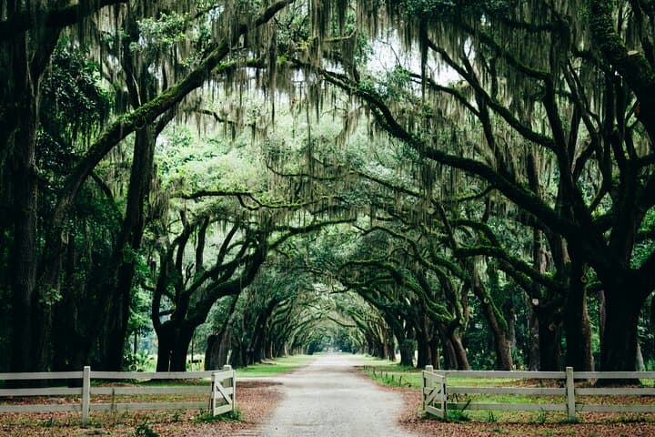 Self-Guided Historic Savannah Walking Tour: Explore Riverfront, Squares & Architecture photo 4