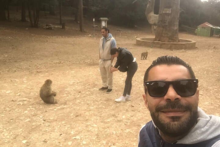 Middle Atlas Day Trip From Fez: Ifrane, Azrou Cedar Forest & Barbary Apes