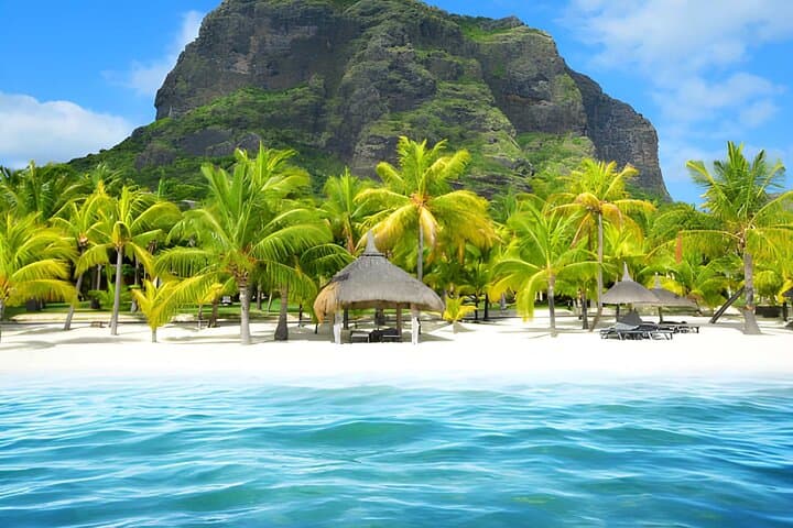 Mauritius Lagoon & Island Adventure: Snorkel, Wildlife & Waterfall Cruise photo 5