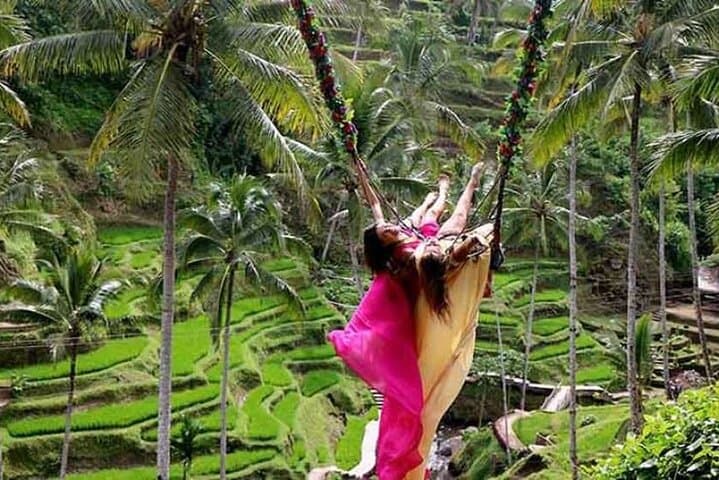 Ubud Rice Terraces, Water Temple & Kecak Dance — Full-Day Cultural Adventure photo 3